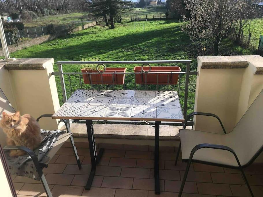 Piccolo Borgo Apartment Lucca Exterior foto